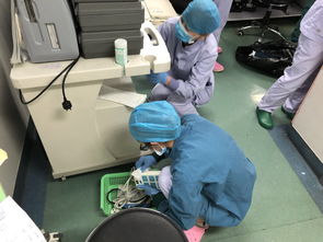 一位认真工作的医护人员